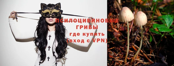 скорость Волосово
