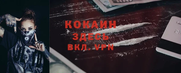 мяу мяу мука Инсар