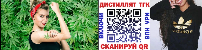 ТГК Wax  Мурино 
