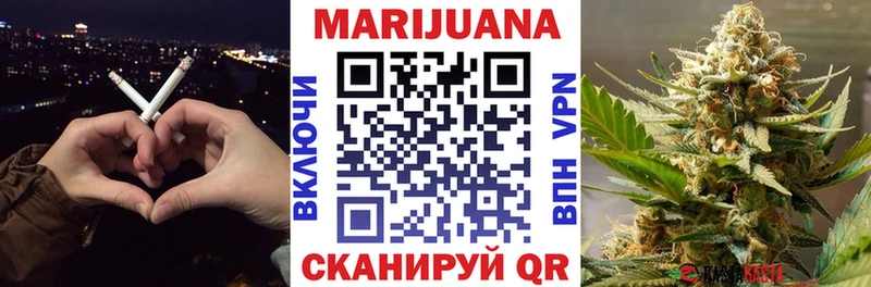 Канабис сатива Мурино